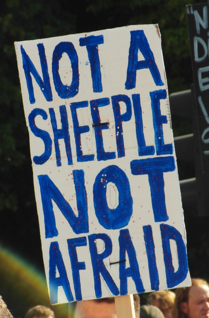 Abb. 21: StopWatchingUs Demo Berlin 2013 — Not a sheeple, not afraid.